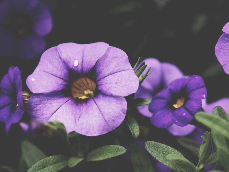 sudoku weekend challenge screenshot 2